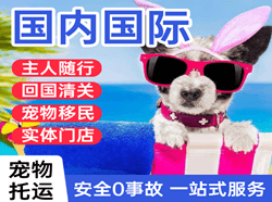北京空运代理国际宠物托运 【国